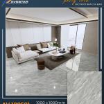 Gạch lát cao cấp AV 100503
