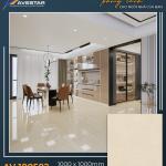 Gạch lát cao cấp AV 100503