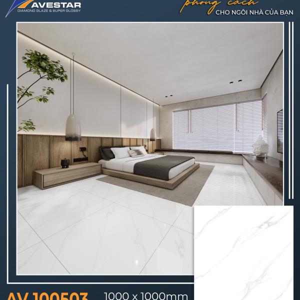 Gạch lát cao cấp AV 100502